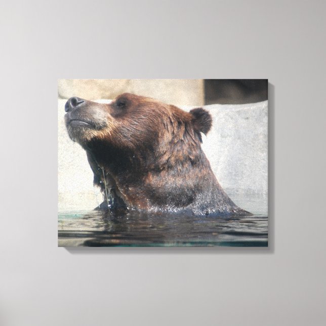Toile Ours grizzli jouant dans l'eau (Recto)