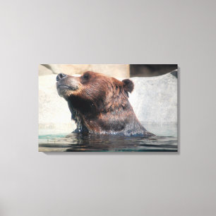 Toile Ours grizzli jouant dans l'eau