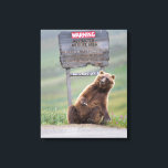 Toile Ours Grizzly Joue Avec Un Panneau<br><div class="desc">Ours grizzly gratte un panneau routier à Sable Pass,  Parc national Denali,  Alaska</div>