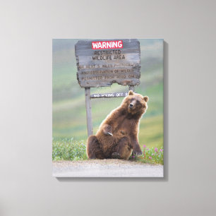 Toile Ours Grizzly Joue Avec Un Panneau