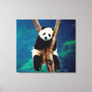 Toile Ours Panda