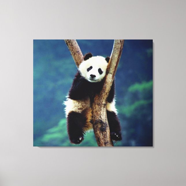 Toile Ours Panda (Recto)