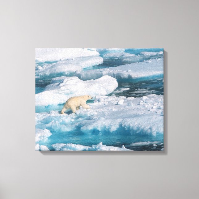 Toile Ours polaire marchant sur la mer (Recto)