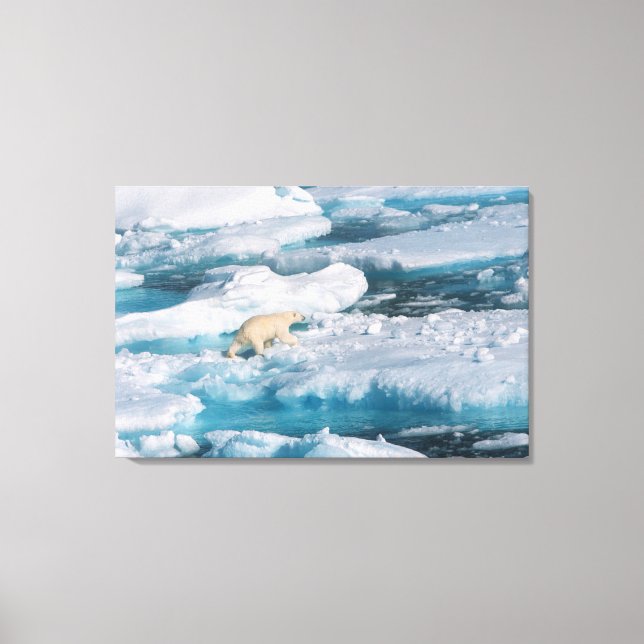 Toile Ours polaire marchant sur la mer (Recto)