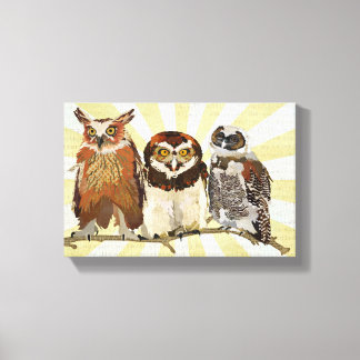 TOILE OWLS DANS UNE VOIE