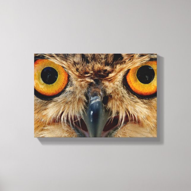 Toile Owls Eyes (Recto)