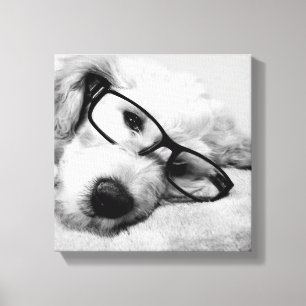 Toile Oxyde d'or avec lunettes