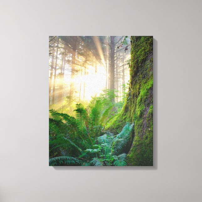 Toile Pacific Coast Forest, Oregon (Recto)