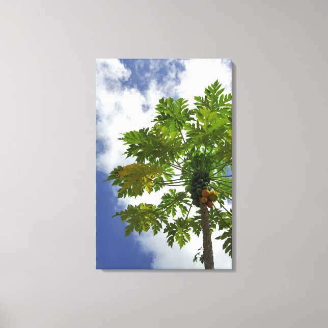 Toile Pacifique Sud, Polynésie française, Moorea. 2 (Recto)