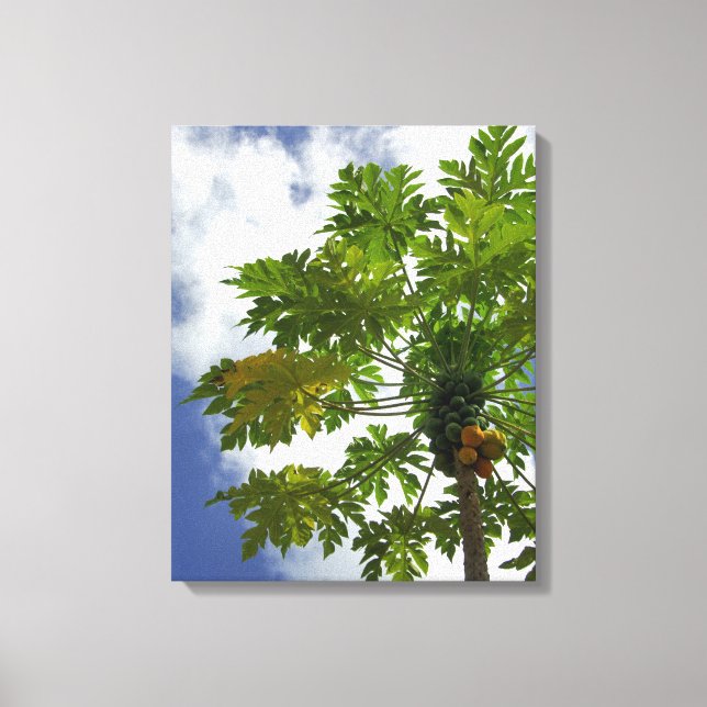 Toile Pacifique Sud, Polynésie française, Moorea. 2 (Recto)
