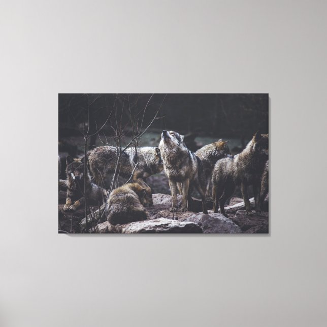 Toile Pack Wolf (Recto)