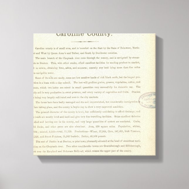 Toile Page texte Caroline Comté (Recto)