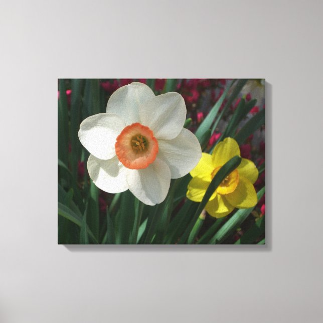 Toile Pair of Daffodils Pink and Yellow Spring Flowers (Recto)