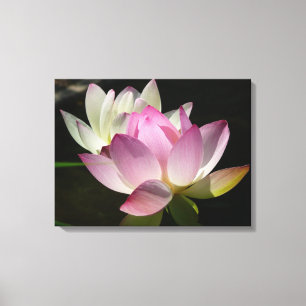 Toile Paire de fleurs de Lotus II