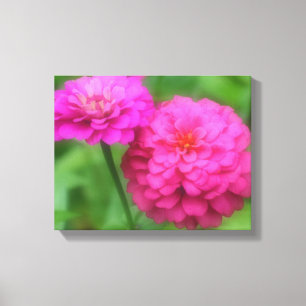 Toile Paire de fleurs rose Zinnia