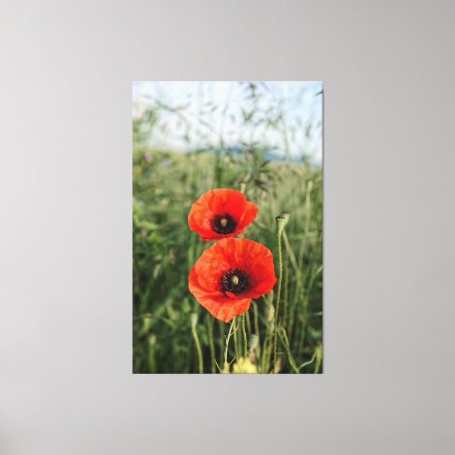 Toile Paire de pavots (Recto)
