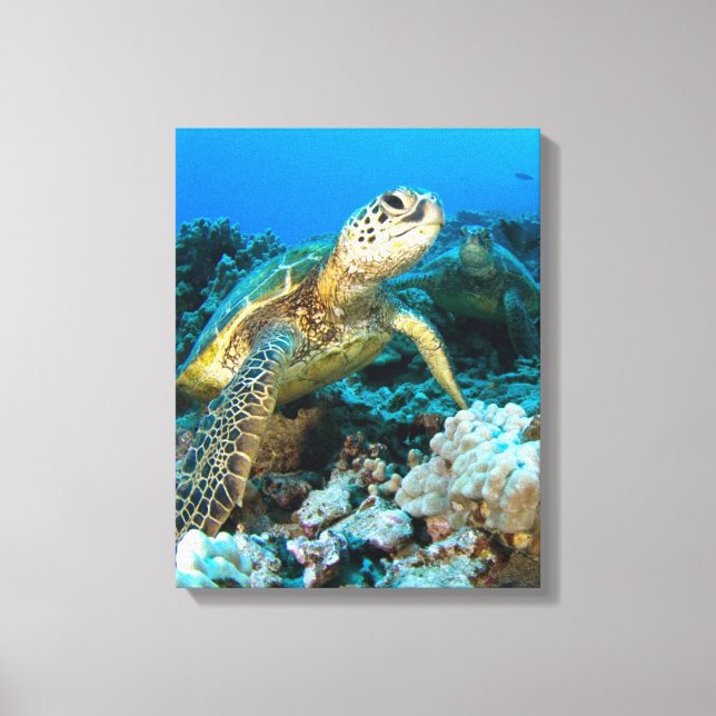 Toile Paire de tortue (Recto)