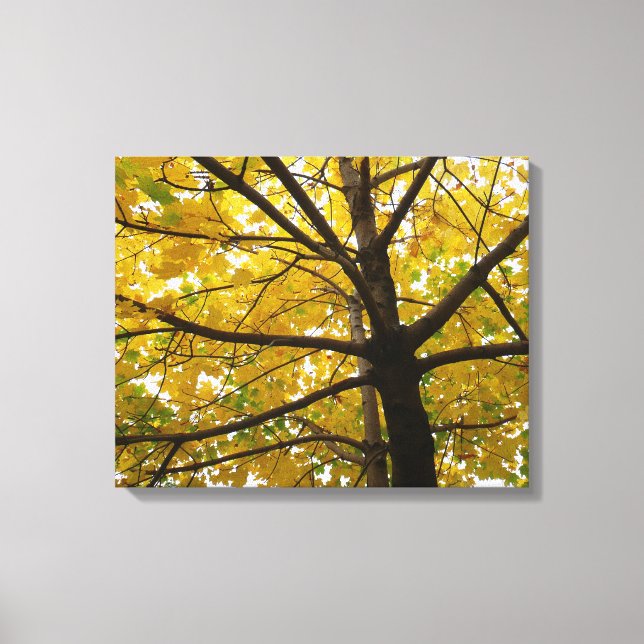 Toile Paire d'érables jaunes Automne Nature (Recto)