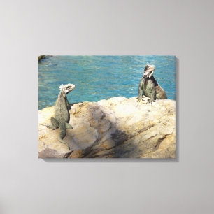 Toile Paire d'Iguanes Photographie de faune tropicale