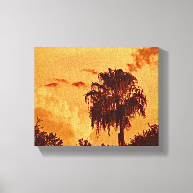 Toile Palm Tree Golden Hour Stretted Canvas Print (Recto)