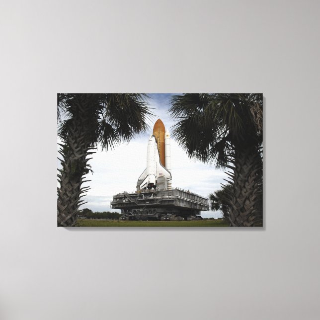 Toile Palmetto arbres cadre navette spatiale Endeavour (Recto)