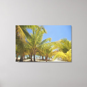 Toile Palmiers sur une plage blanche de sable du