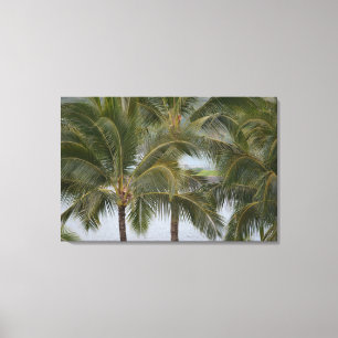 Toile Palmiers tropicaux à Hawaï sur l'océan