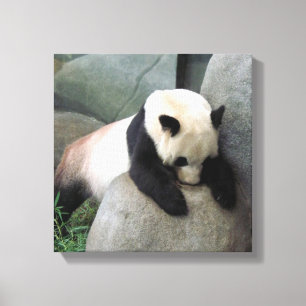 Toile Panda Canvas