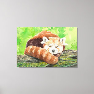 Toile Panda roux