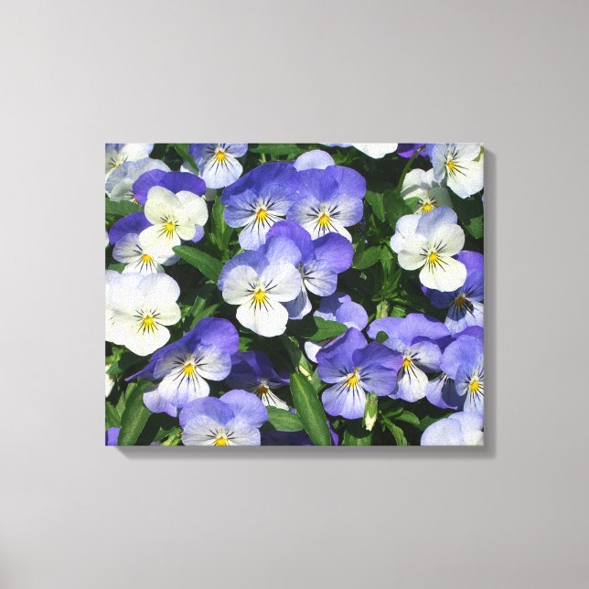 Toile Pansies violettes Jardin Floral (Recto)