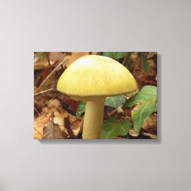 Toile Papier à champignons de bouchon de mort (Recto)