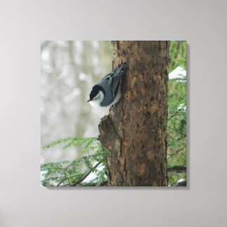 Toile Papier à nuthatch blanc (Forêt)