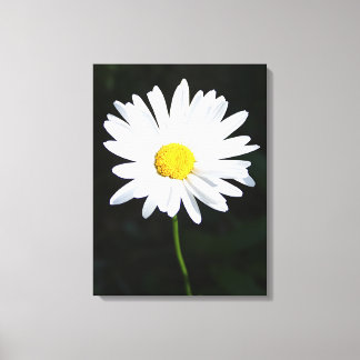 Toile Papier blanc Fleur de marguerite