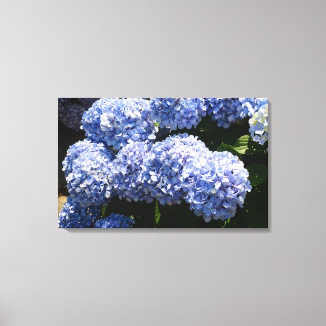 Toile Papier bleu Hydrangea (Recto)