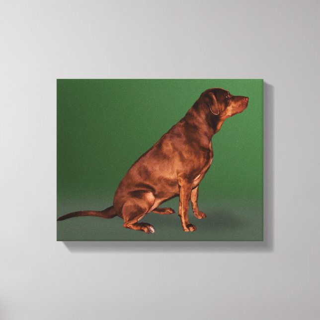 Toile Papier de canne Labrador Retriever Dog (Recto)
