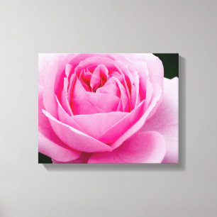 Toile Papier Pastel Rose Rose