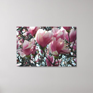 Toile Papier rose "Tulip Tree" Blossoms Enveloppé
