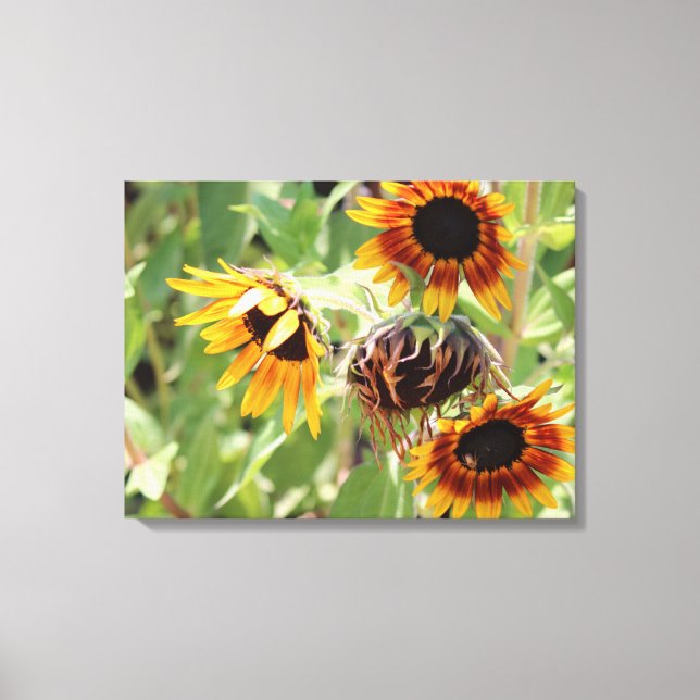 Toile Papier Tournesol étiré (Recto)