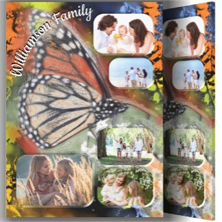 Toile Papillon