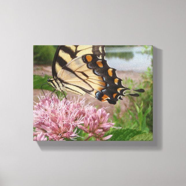 Toile Papillon à queue épaisse de tigre sur le Milkweed (Recto)