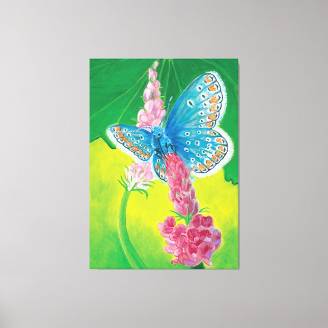 Toile Papillon bleu de Chapmans (thersites en polyommatu (Recto)