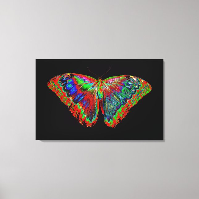 Toile Papillon coloré sur fond noir (Recto)