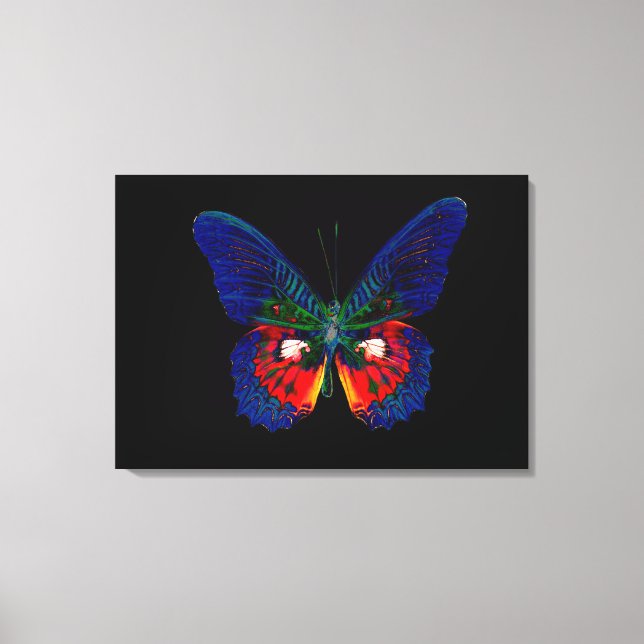 Toile Papillon coloré sur fond noir 3 (Recto)