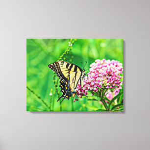 Toile Papillon d'épaisse du tigre oriental