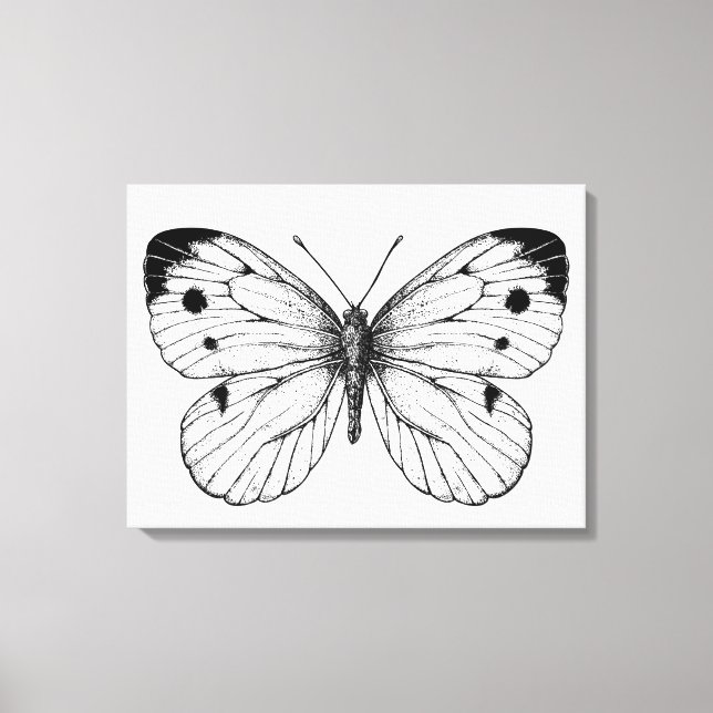 Toile Papillon du chou (Recto)