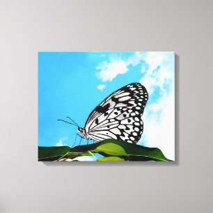 Toile Papillon et ciel