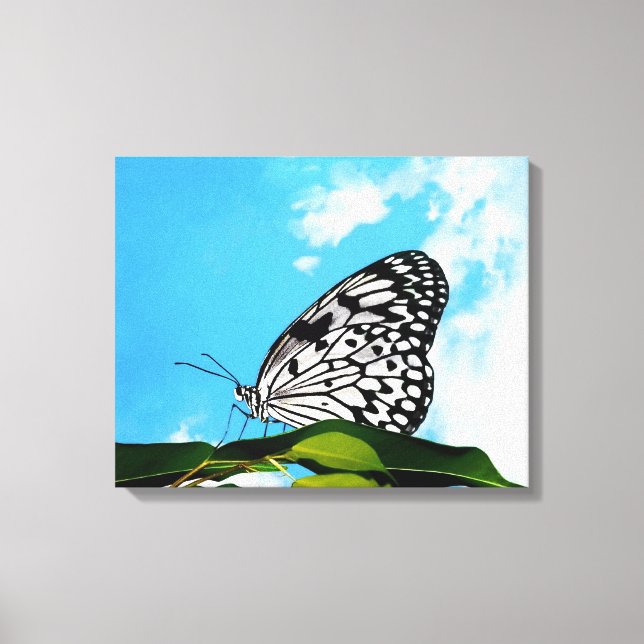 Toile Papillon et ciel (Recto)