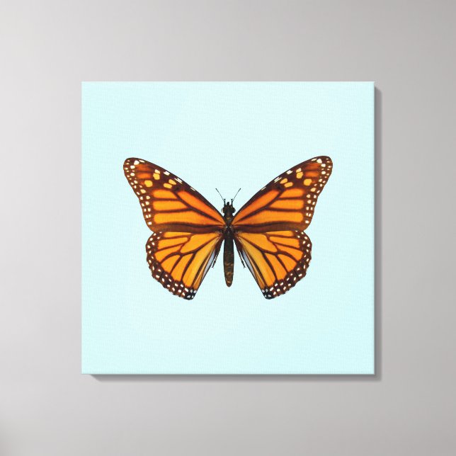 Toile Papillon Monarque (Recto)