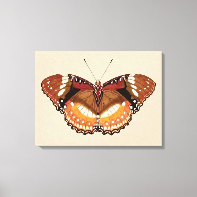 Toile Papillon Monarque en Brown, rouille et crème (Recto)