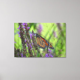 Toile Papillon monarque gros plan sur les fleurs violett